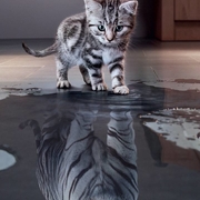 Аватар