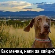 Аватар