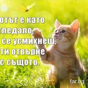 Аватар