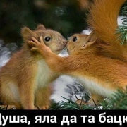 Аватар