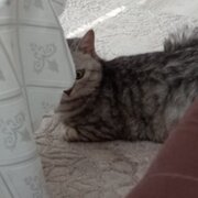 Аватар