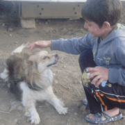 Аватар