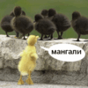 Аватар