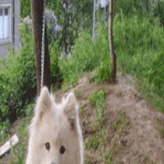 Аватар