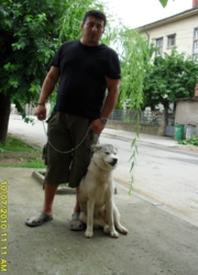 Аватар
