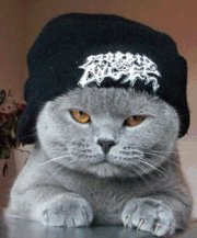 Аватар