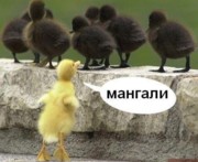 Аватар
