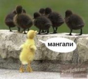 Аватар