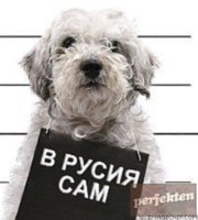 Аватар