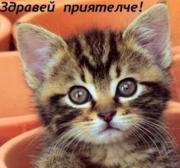 Аватар