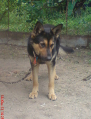 Аватар