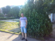 Аватар