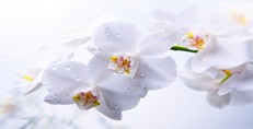 Карти