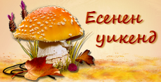Карти