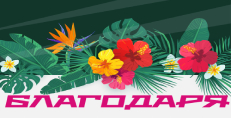 Карти
