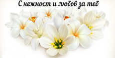 Карти