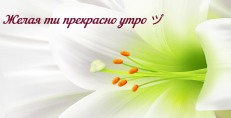 Карти