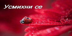 Карти