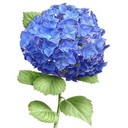 Подарък