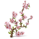 Подарък